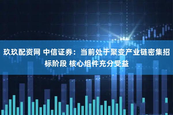 玖玖配资网 中信证券：当前处于聚变产业链密集招标阶段 核心组件充分受益