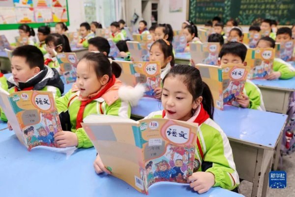 慧仁策略 孩子们满嘴“包的”“666”，我们该怎么办？